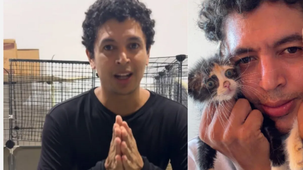 Fundación de gatitos en Barranquilla busca ayuda para no cerrar: 'Estamos atravesando uno de los momentos más difíciles del refugio'