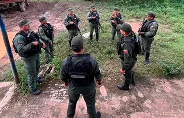 GNB recupera 20 búfalos hurtados en Zulia