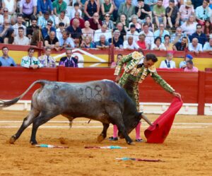 Gran dimensión de El Cid ante una excepcional corrida de Victorino Martín