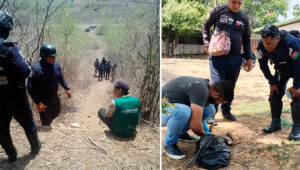 Hallan a dos perritas degolladas