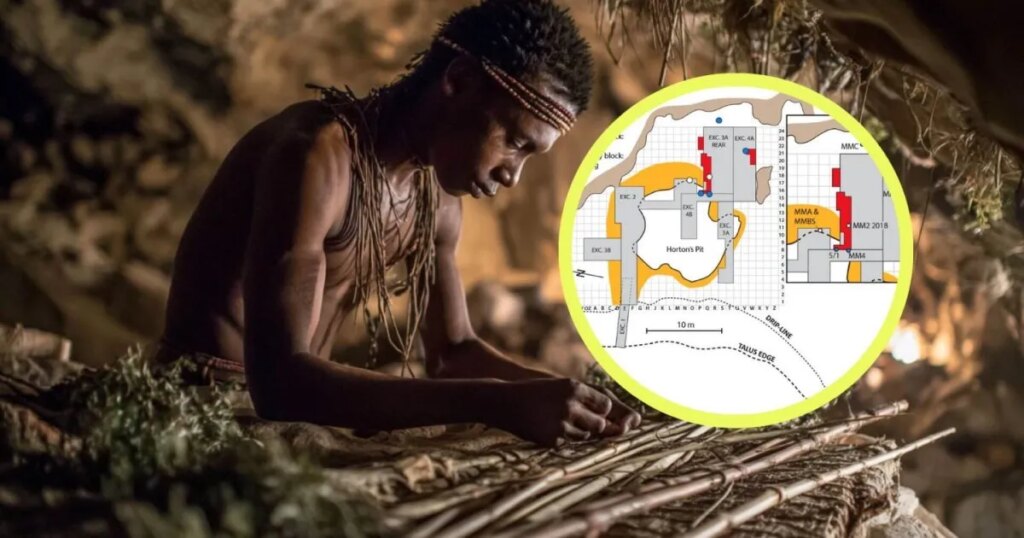 Hallan en Border Cave las camas vegetales más antiguas del mundo: tienen 200.000 años y revelan patrones de gestión doméstica sorprendentes