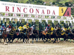 INH suspendio programa de carreras en La Rinconada