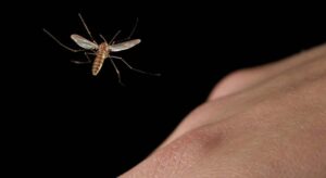 Ingeniero diseña un sistema de defensa láser IA que ha acabado con todos los mosquitos de su casa