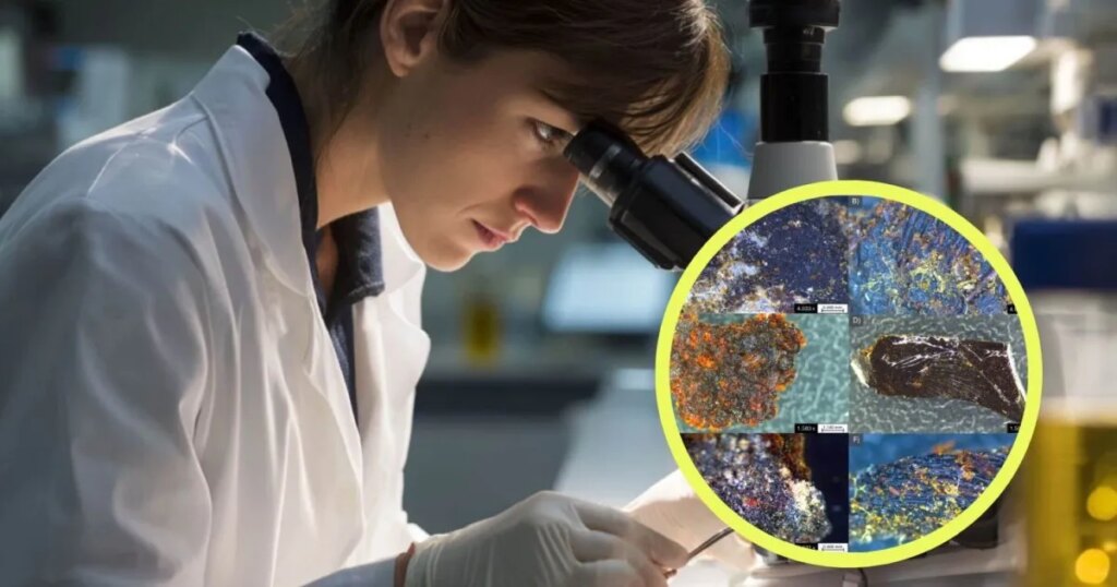 Investigadores españoles consiguen descifrar la composición de los bálsamos de 7 momias egipcias con técnicas moleculares del siglo XXI