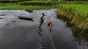 La Amazonía brasileña respira tras dos años de sequía severa – AlbertoNews