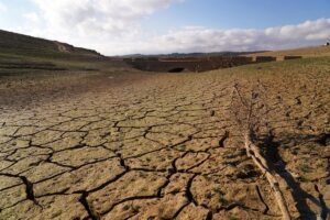 La OMM insta a prepararse para un episodio de El Niño «fuerte» tras el verano, que dejará sequías y lluvias intensas | europapress.es