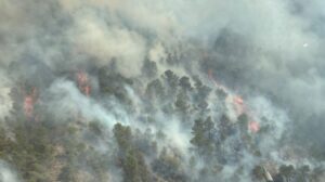 La UME activada por el incendio de Los Garres (Murcia), que obliga a desalojos preventivos | europapress.es
