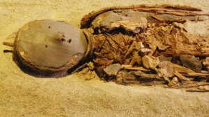Las momias prehistóricas de Atacama tenían cerebros un 12% más pequeños. La ciencia acaba de confirmar la verdadera causa y es mucho más humana de lo que creíamos