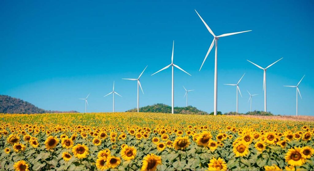 Los científicos del CSIC coinciden: las "sequías de viento" son un nuevo riesgo para la energía eólica y la calidad del aire en las ciudades