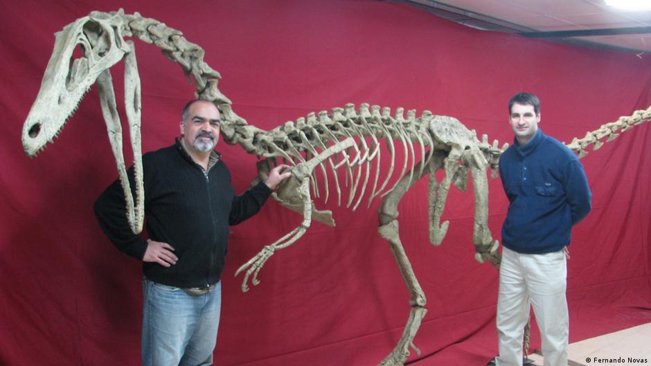 Los fascinantes hallazgos de dinosaurios en América del Sur