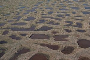 Los «virus zombi» del permafrost