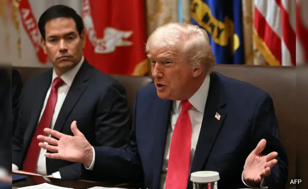 Trump Rubio