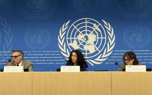 Misión de ONU respalda solicitud de extradición de militar venezolano acusado de crímenes de lesa humanidad – Efecto Cocuyo