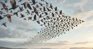 Ni el instinto ni la vista: es la física la que dicta cómo se organizan las aves volando en formación