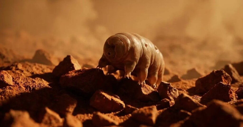 Pensábamos que los tardígrados eran invencibles en el espacio, pero en Marte hemos encontrado su criptonita
