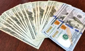 Precio del dólar del 3 de junio se acerca a 559 bolívares