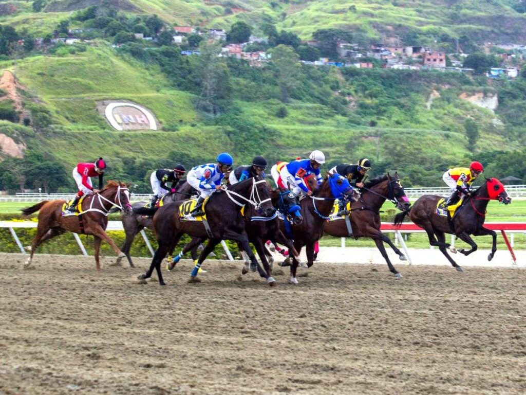 Resultados de La Rinconada - Líder en deportes