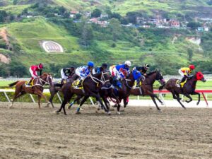 Resultados de La Rinconada – Líder en deportes