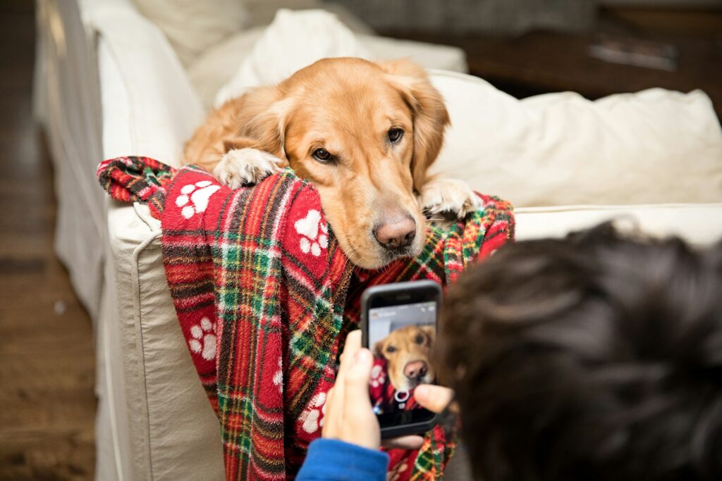 Samsung usará la IA para detectar enfermedades en tu mascota