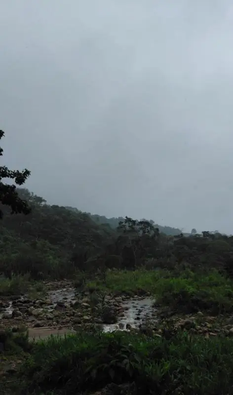 San Cristóbal se prepara para el Día Mundial del Ambiente
