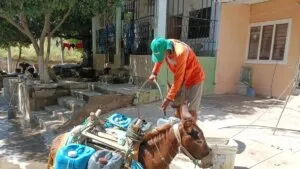 Santa Marta es la primera ciudad de Colombia que declara calamidad pública por efectos de fenómeno de El Niño: sensación térmica alcanzó los 45 grados