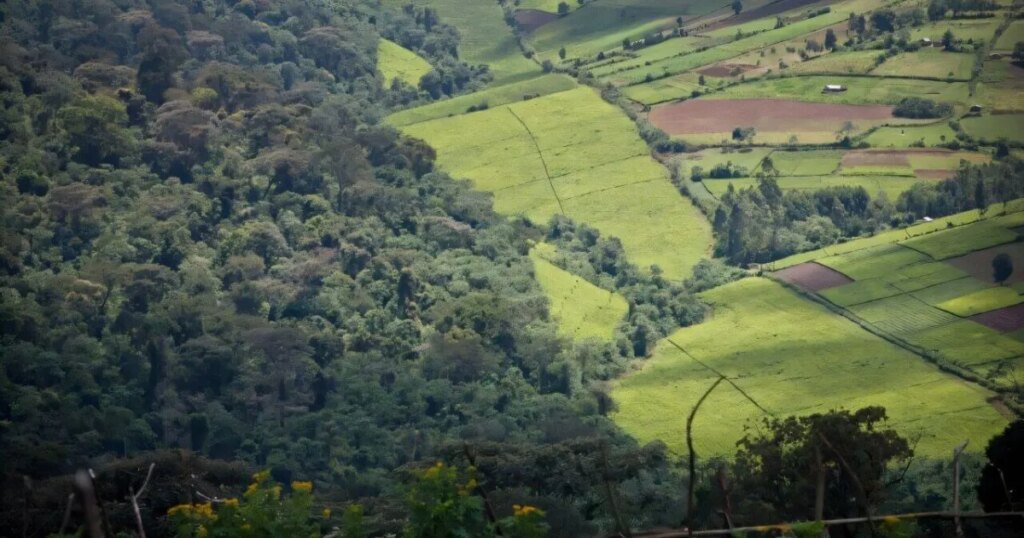 Se descubre que un uso más inteligente de la tierra puede desbloquear la biodiversidad, el clima y los beneficios económicos en 146 países