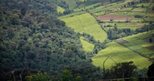 Se descubre que un uso más inteligente de la tierra puede desbloquear la biodiversidad, el clima y los beneficios económicos en 146 países