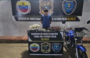 Sipez-Cpbez captura a sujeto con cables de alta tensión