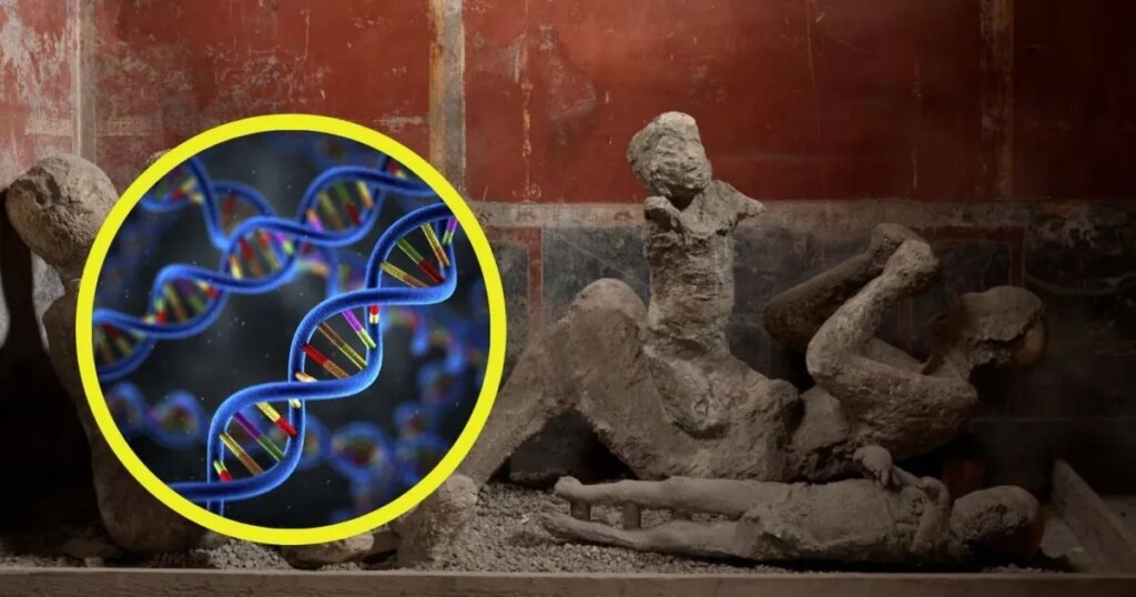 Un análisis de ADN antiguo revela que las víctimas de Pompeya no eran quienes creíamos, obligando a reescribir su historia