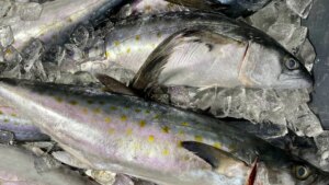 Un experto desvela cuál es el corte más exclusivo del atún: «Es una de las joyas ocultas del pescado»