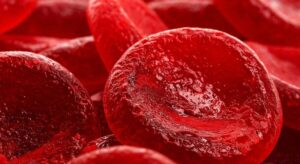 Un nuevo avance en salud metabólica logra combinar reducción del azúcar en sangre y pérdida de peso en un mismo tratamiento