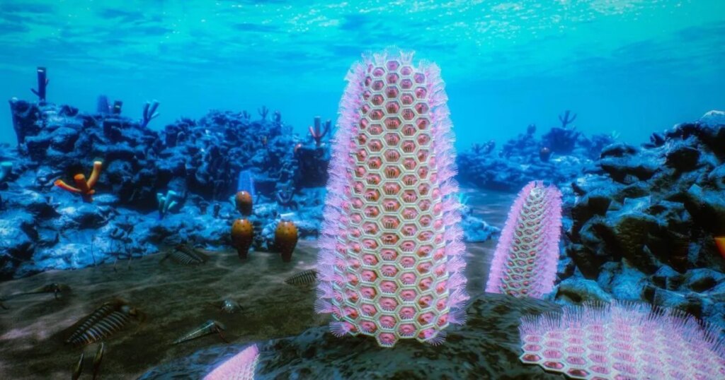 Unos fósiles de 520 millones de años resuelven uno de los mayores misterios de la evolución animal