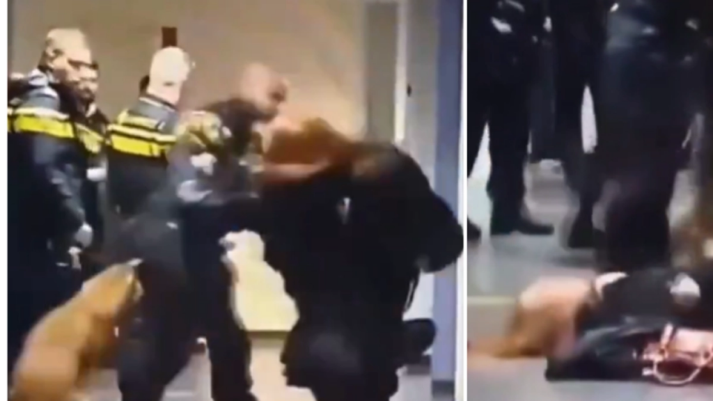 Video muestra a una mujer embarazada siendo derribada por la Policía en Países Bajos: cayó al suelo tras la agresión