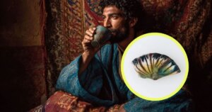 Vidrio, gemas y monedas: un estudio rompedor reconstruye las conexiones culturales entre Roma y Asia oriental hace más de 2000 años
