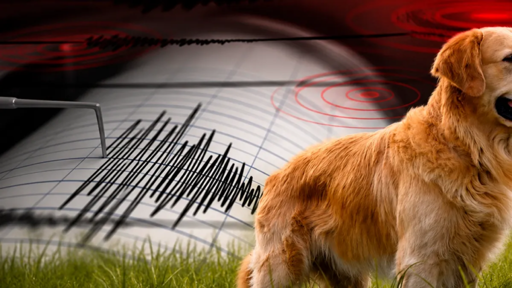 ¿Pueden los animales predecir los terremotos? La ciencia analizó 130 especies y encontró algo inesperado