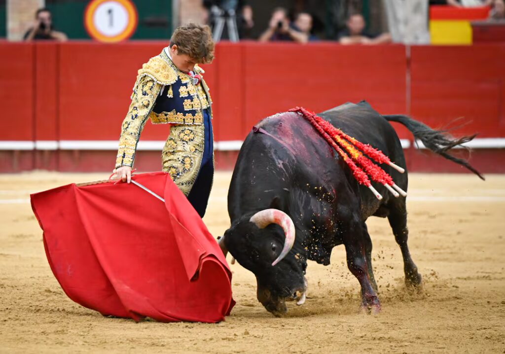 Álvaro Serrano, en un muletazo con la mano derecha a uno de sus novillos.