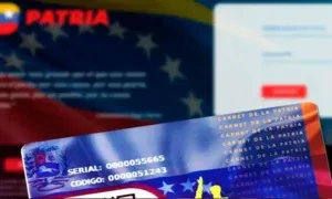 Bono Único Familiar de julio pagan por Canal Patria