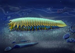 Descubren el origen evolutivo de los colmillos de las arañas