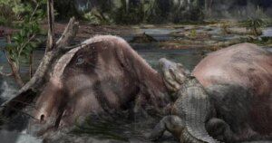 Descubren que un “cementerio” de dinosaurios de hace 80 millones de años se formó en solo 40: los antiguos monzones tuvieron la «culpa»