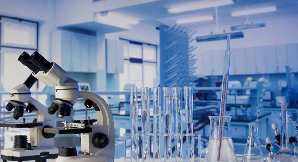El descubrimiento que sorprende a los científicos: el estrés psicológico podría acelerar el envejecimiento celular a través del intestino