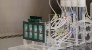 El dispositivo que puede revolucionar la investigación médica: así funciona el nuevo «corazón en un chip»