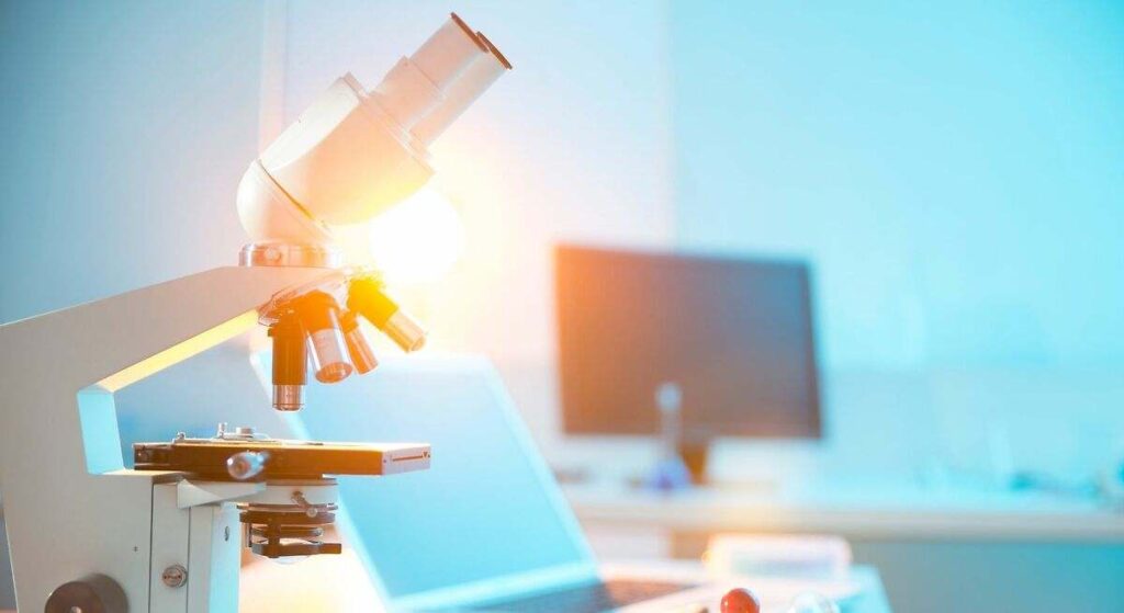 El hallazgo que ha sorprendido a los científicos: una sola exposición a la cocaína altera las células cerebrales de los ratones durante dos semanas
