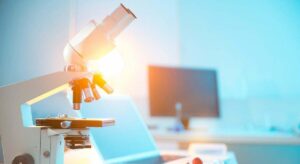 El hallazgo que ha sorprendido a los científicos: una sola exposición a la cocaína altera las células cerebrales de los ratones durante dos semanas