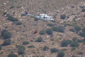 El incendio de Los Gallardos, el más mortífero del siglo XXI en España | europapress.es