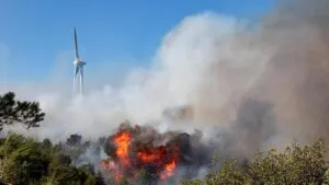 El incendio de Perpinyà no ha avanzado por los cortafuegos pero sigue sin estar controlado | elperiodico.com