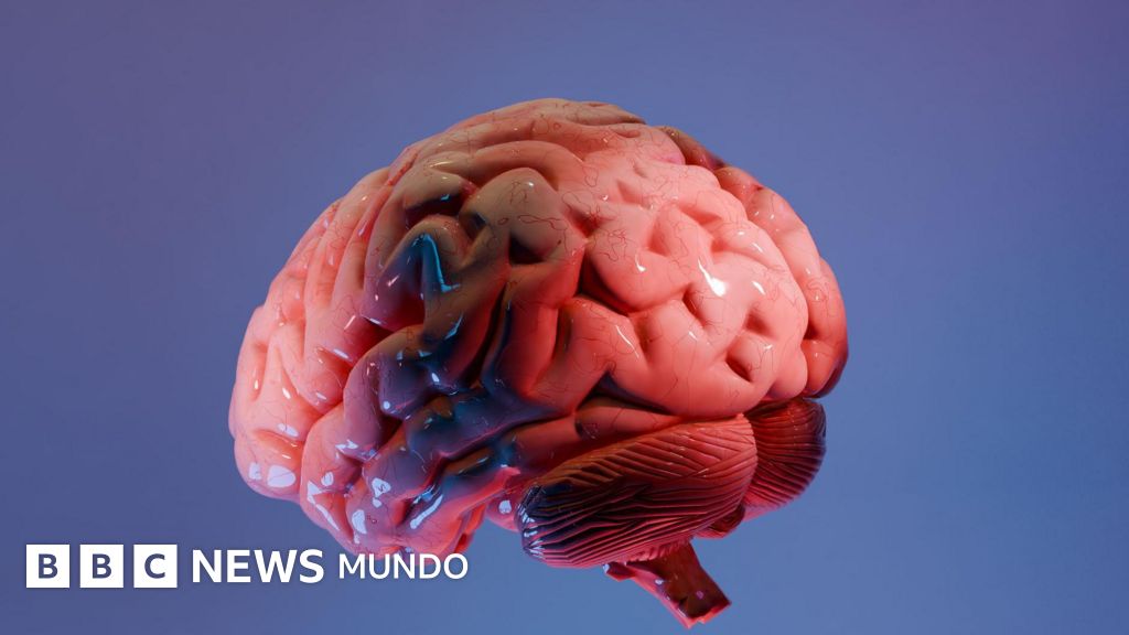 El revolucionario "atlas" que está ayudando a los científicos a mapear la última frontera del cerebro
