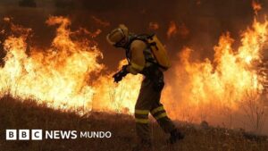 «Es el peor incendio de la historia de Madrid»: los fuegos sin control que han obligado a evacuar a decenas de miles de personas en el centro de España