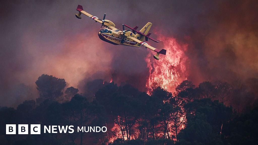 "Es una situación dramática": los voraces incendios que obligan a miles a evacuar en España y Francia
