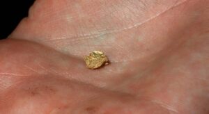 Este aparato electrónico que todos desechamos contiene en realidad 450 miligramos de oro de 22 quilates