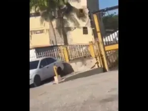 Evacuación oportuna: Reportan el colapso del bloque 9